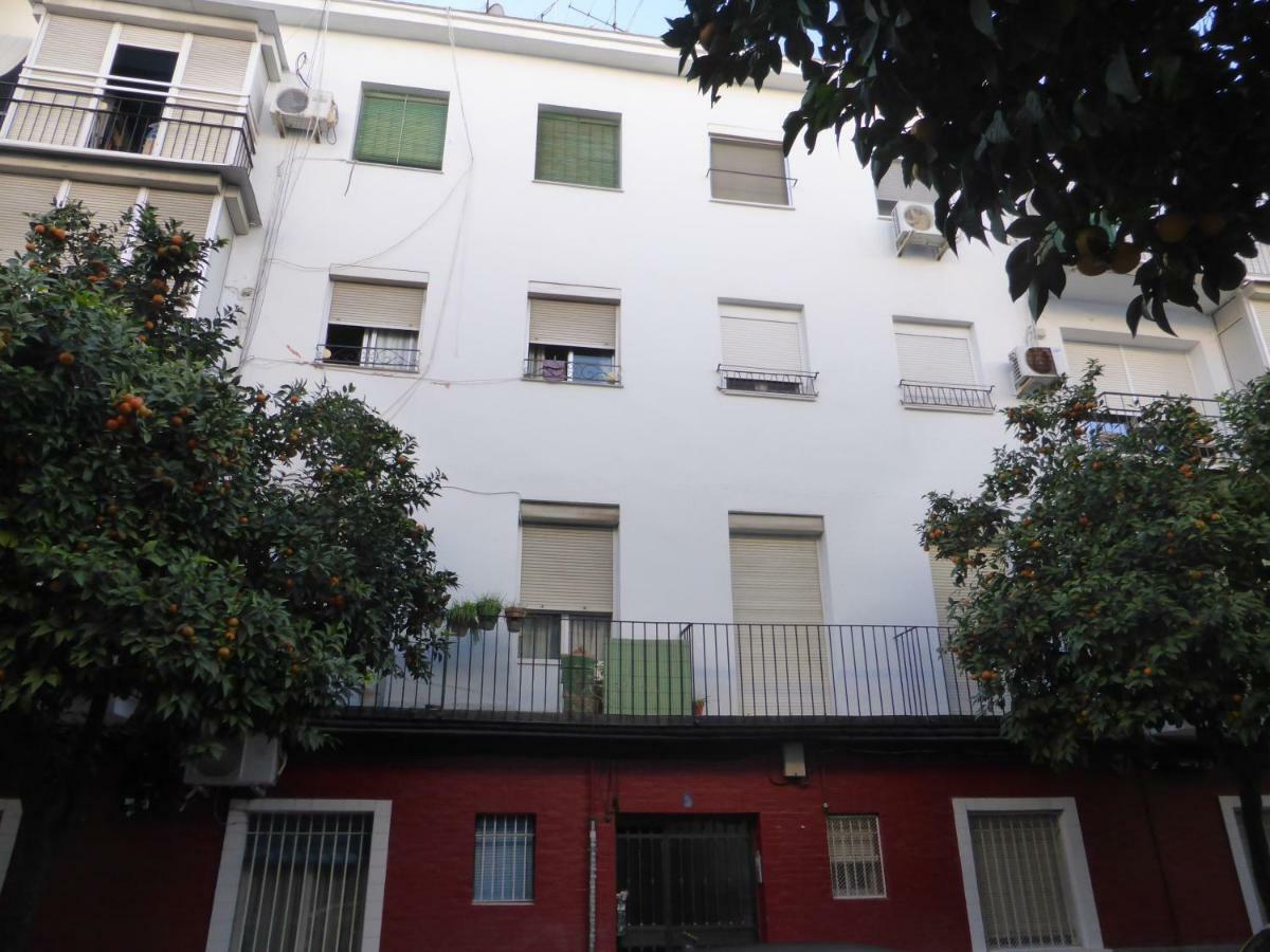 Esencia Sevilla エクステリア 写真